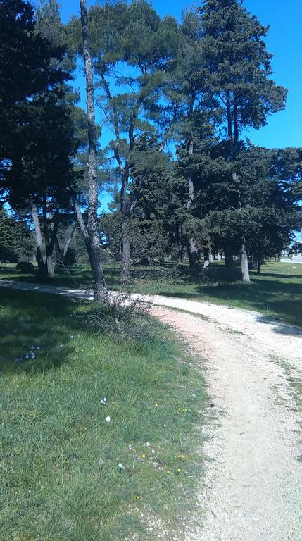 Soldo Zadar