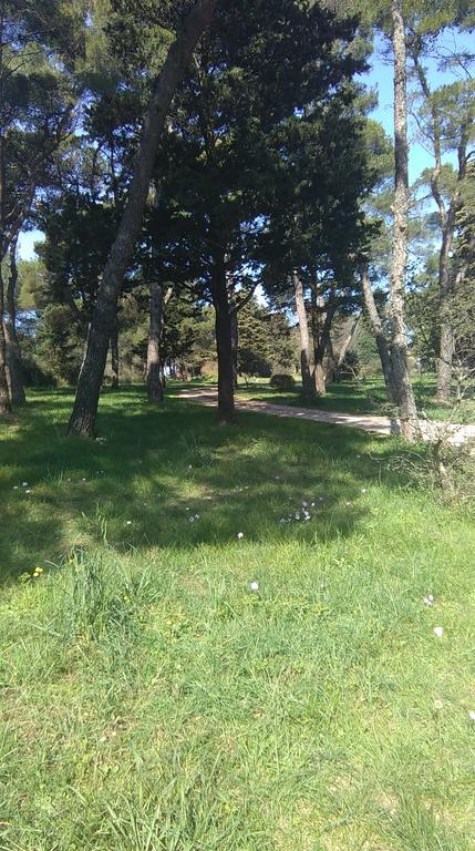 Soldo Zadar